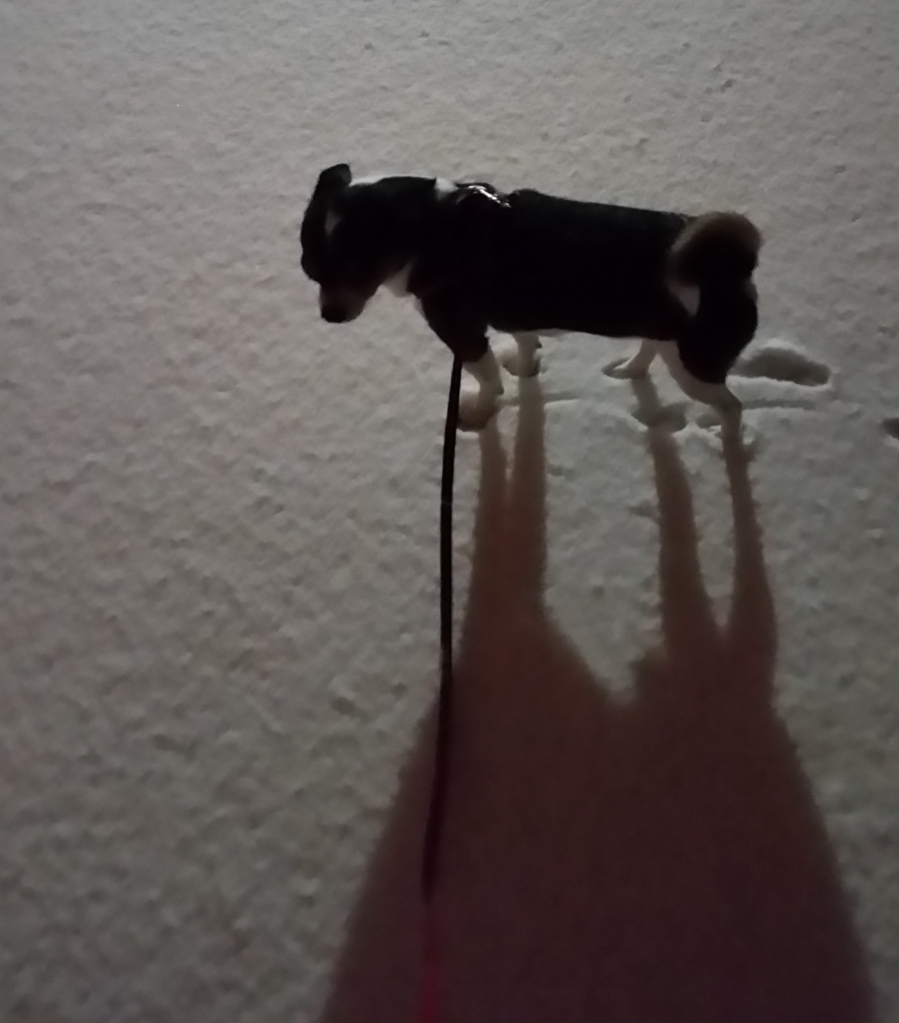 Lightning the Tiny casts a tall shadow